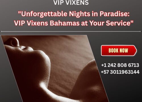 Unforgettable Nights in Paradise: VIP Vixens Bahamas at Your Service