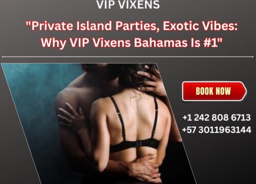 Private Island Parties, Exotic Vibes: Why VIP Vixens Bahamas Is #1